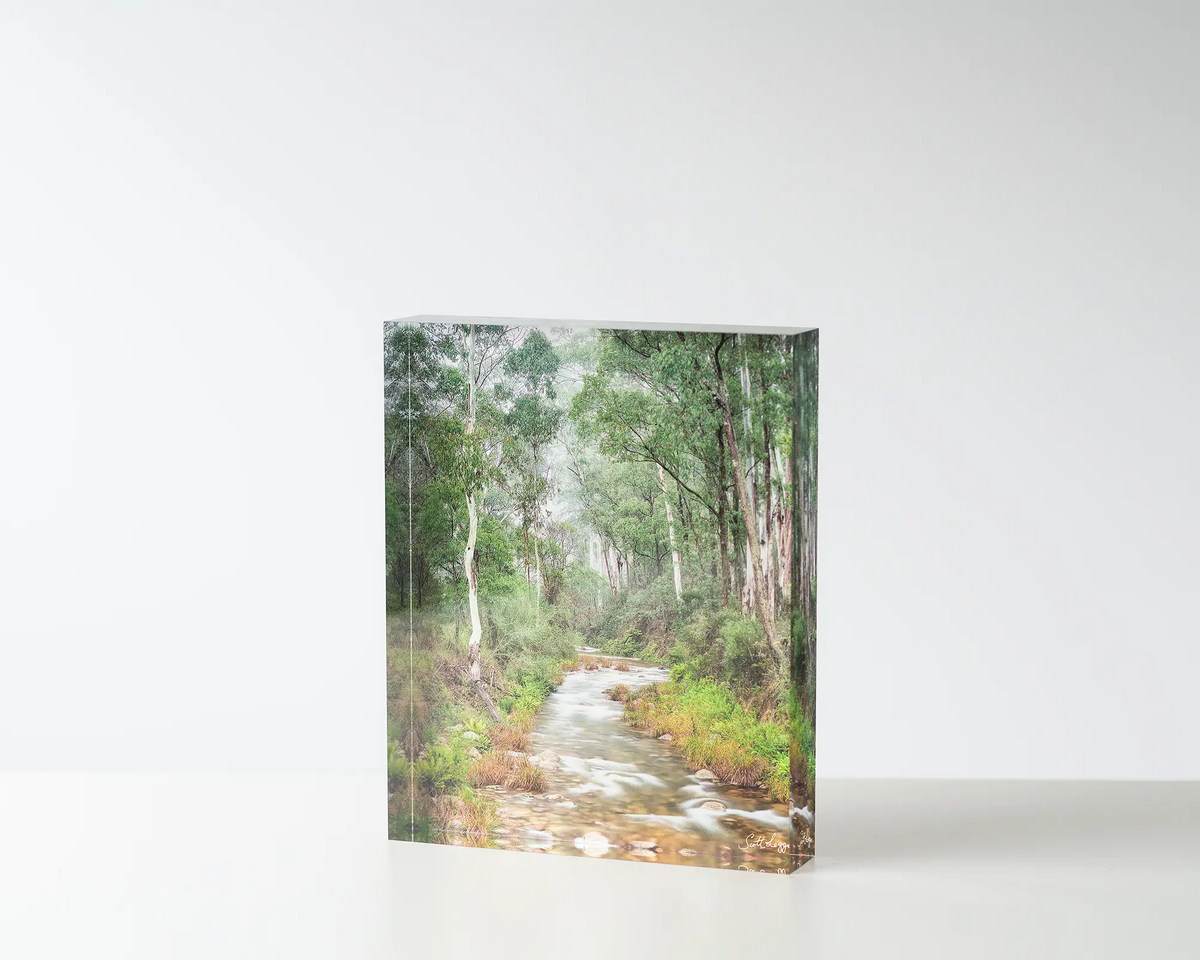 Allure. Acrylic block of morning fog along Eurobin creek Mount Buffalo. Australian artwork on table.