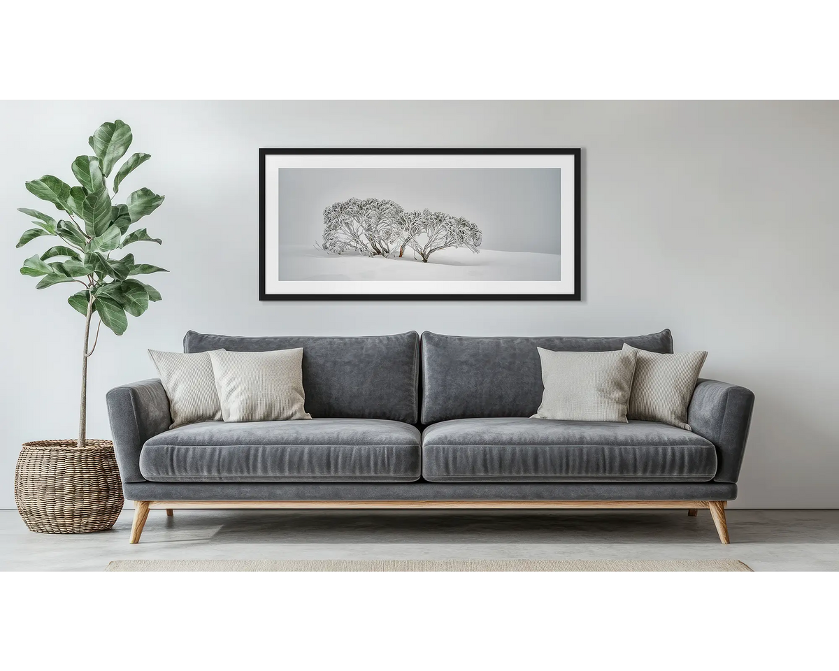 Alpine Spirit. Framed snow gum wall art print, with a black frame, hung above a couch. 