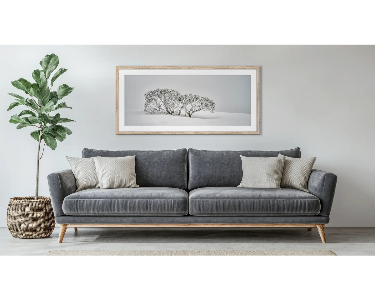 Alpine Spirit. Framed snow gum wall art print, with a timber frame, hung above a couch. 