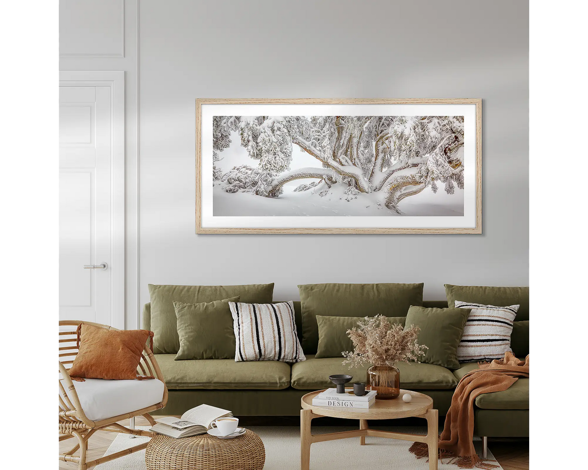 Alpine Survivor. Snow Gum wall art, hanging above a couch, in a living room.