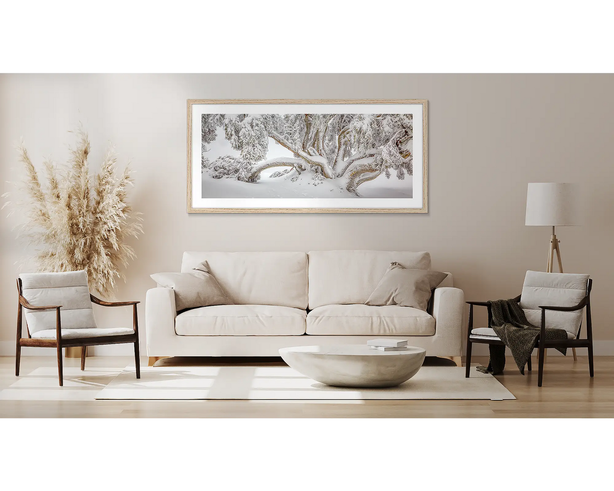 Alpine Survivor. Snow gum wall art, framed in a Tasmanian Oak frame, hung above a couch.