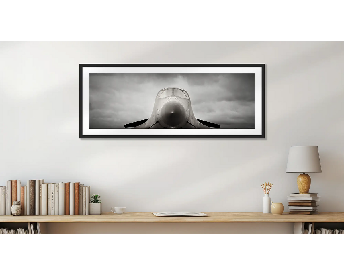 Angry Bird. Bomber aviation wall art print, in a home office with a black frame. 