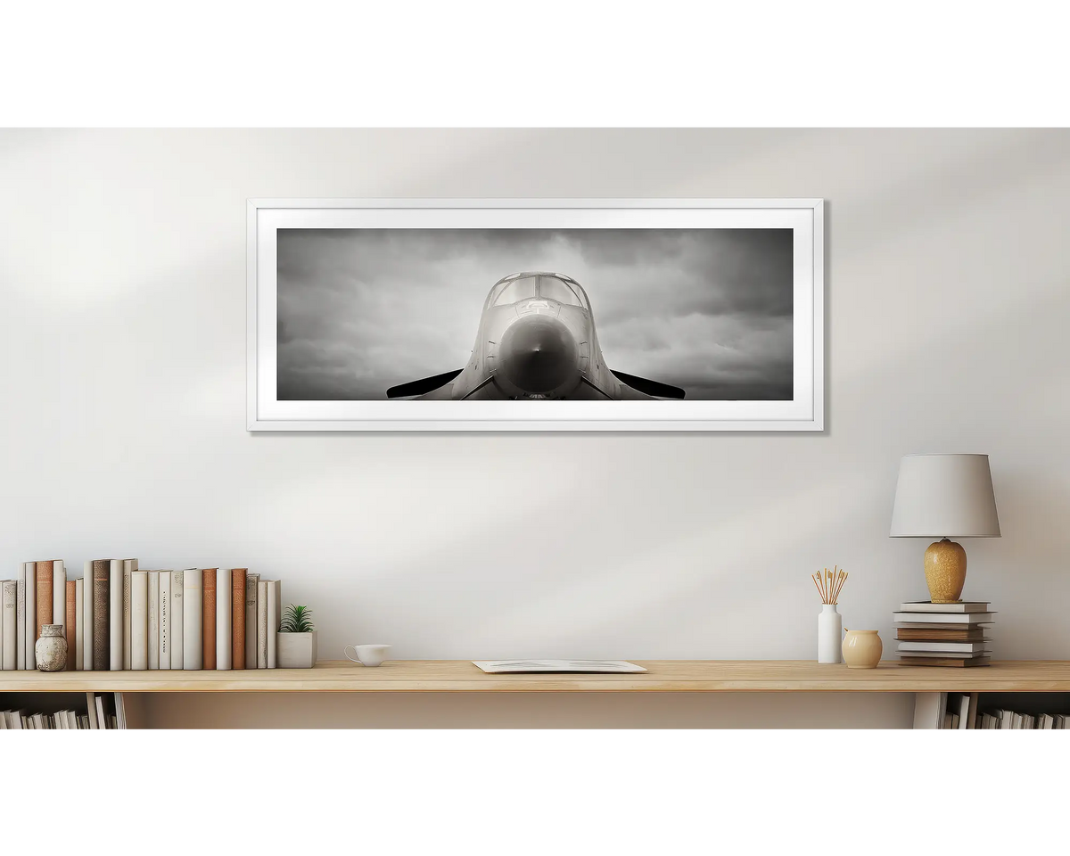 Angry Bird. Bomber aviation wall art print, in a home office with a white frame. 