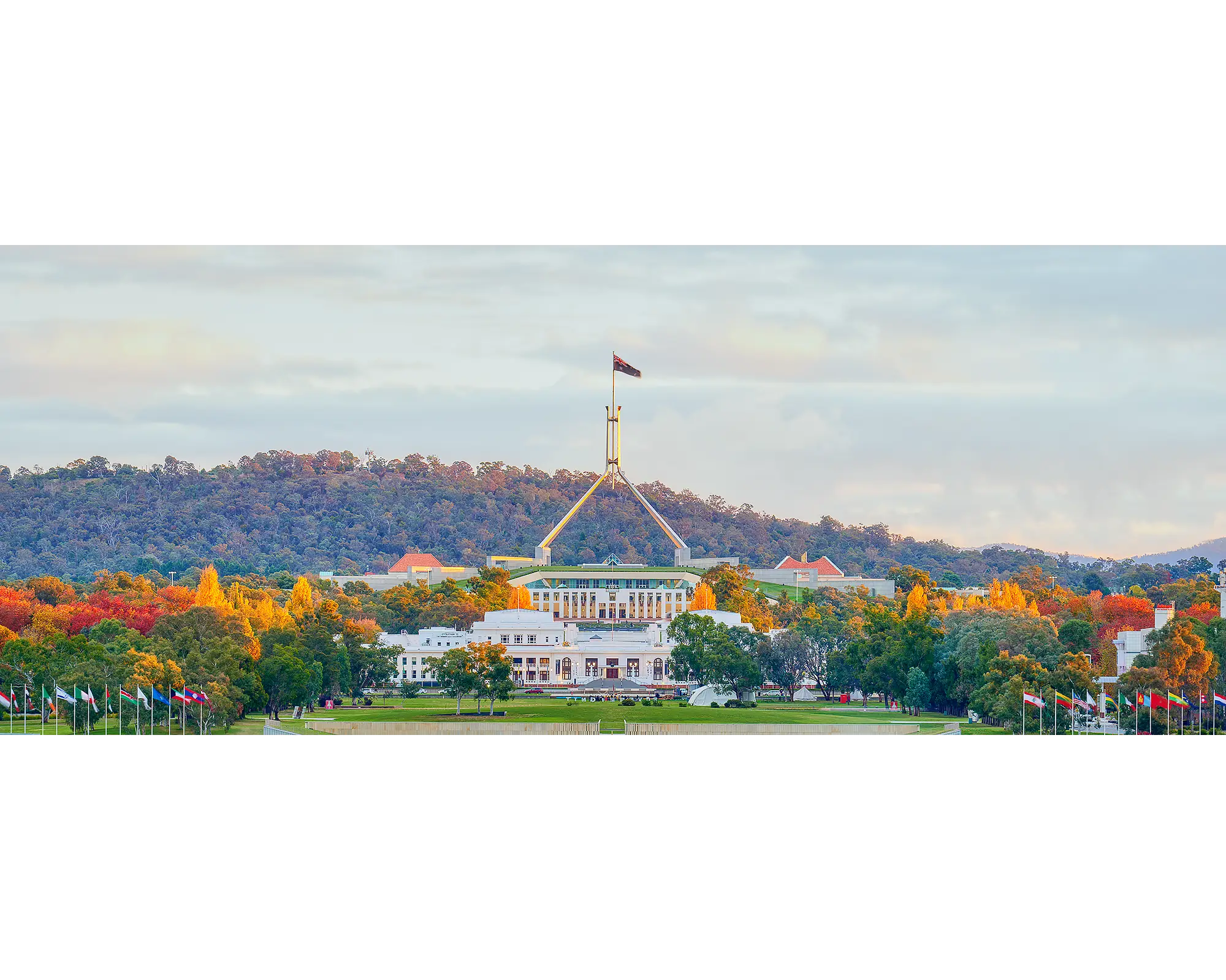 Colourful autumn trees in front of old and new Parliament House, Canberra.