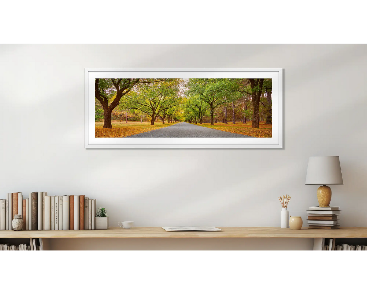 Autumn Drive. Governor General driveway, Canberra wall art print, with a white frame, above a desk. 