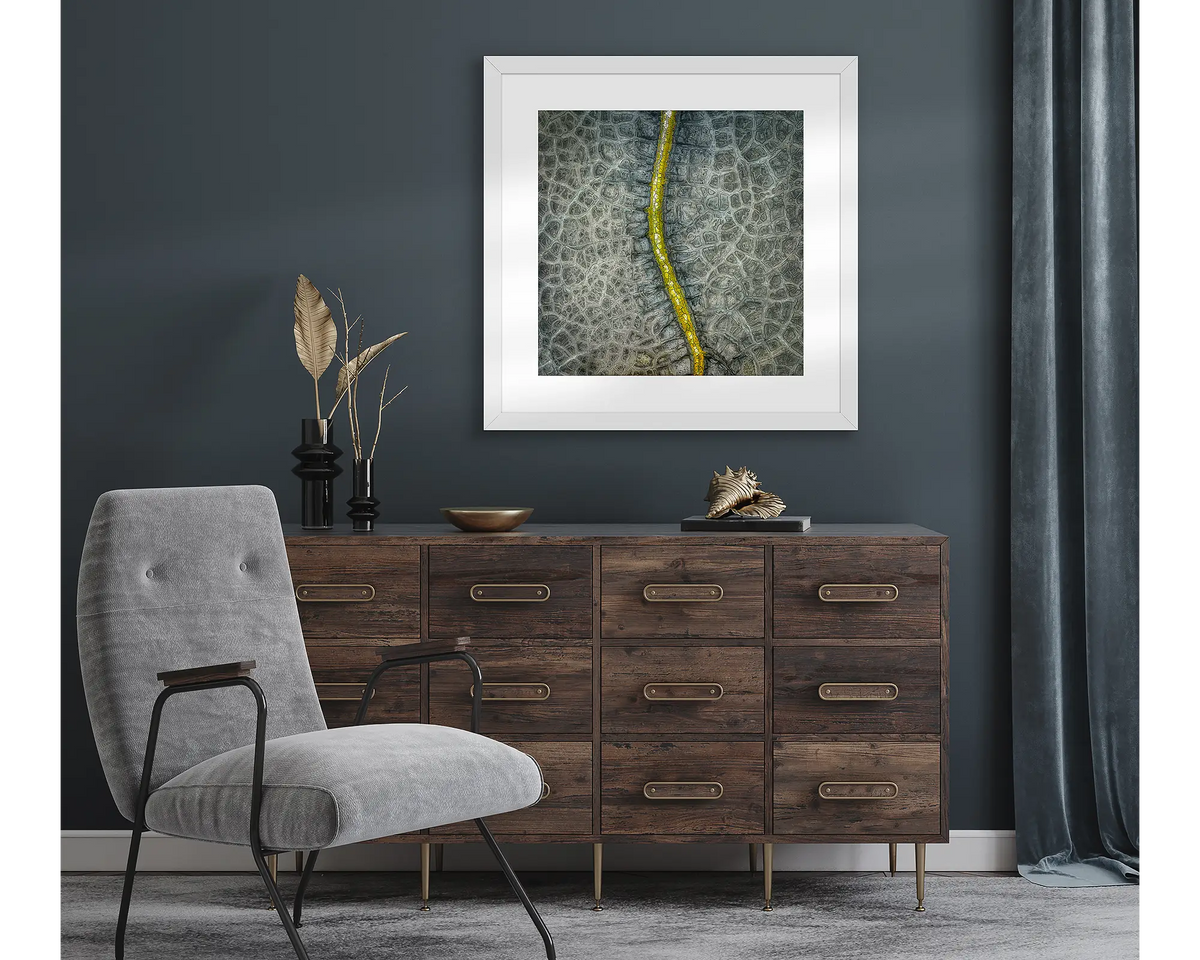 Backbone. Abstract wall art print hanging on a dark study wall.