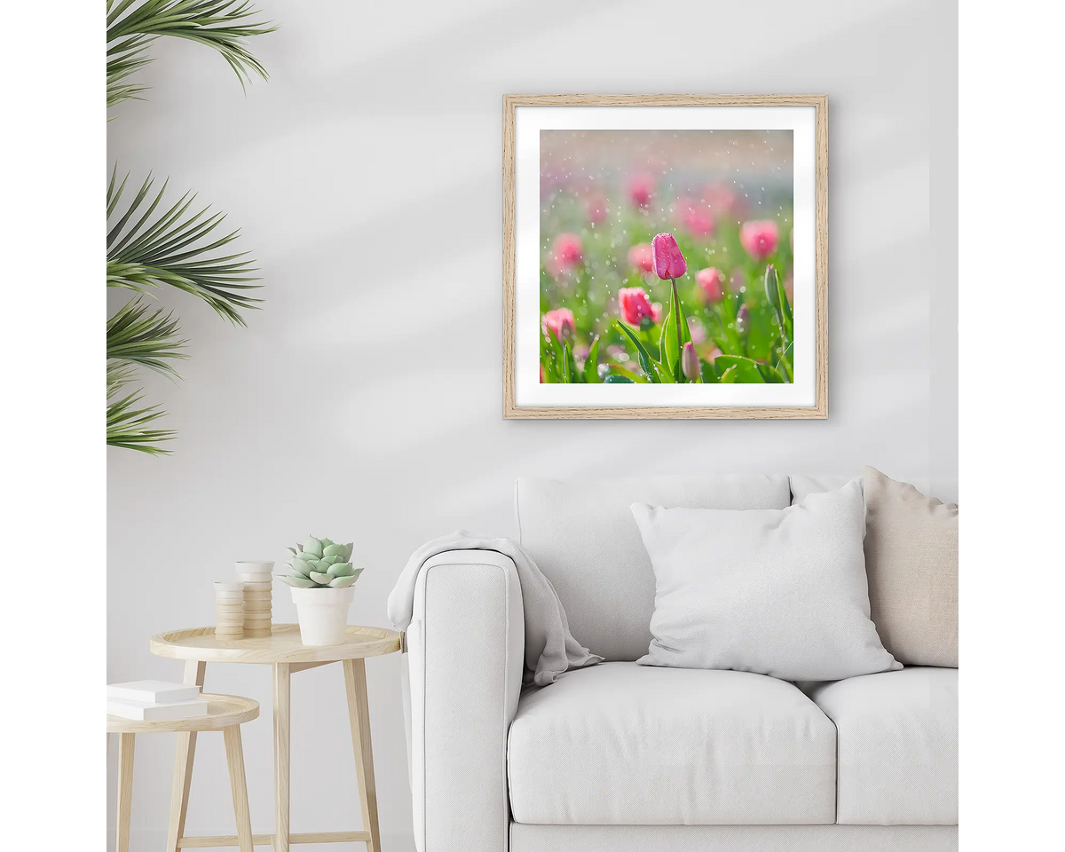 Bloom. Framed Floriade wall art print, with a Tasmanian Oak frame, hung above a couch. 