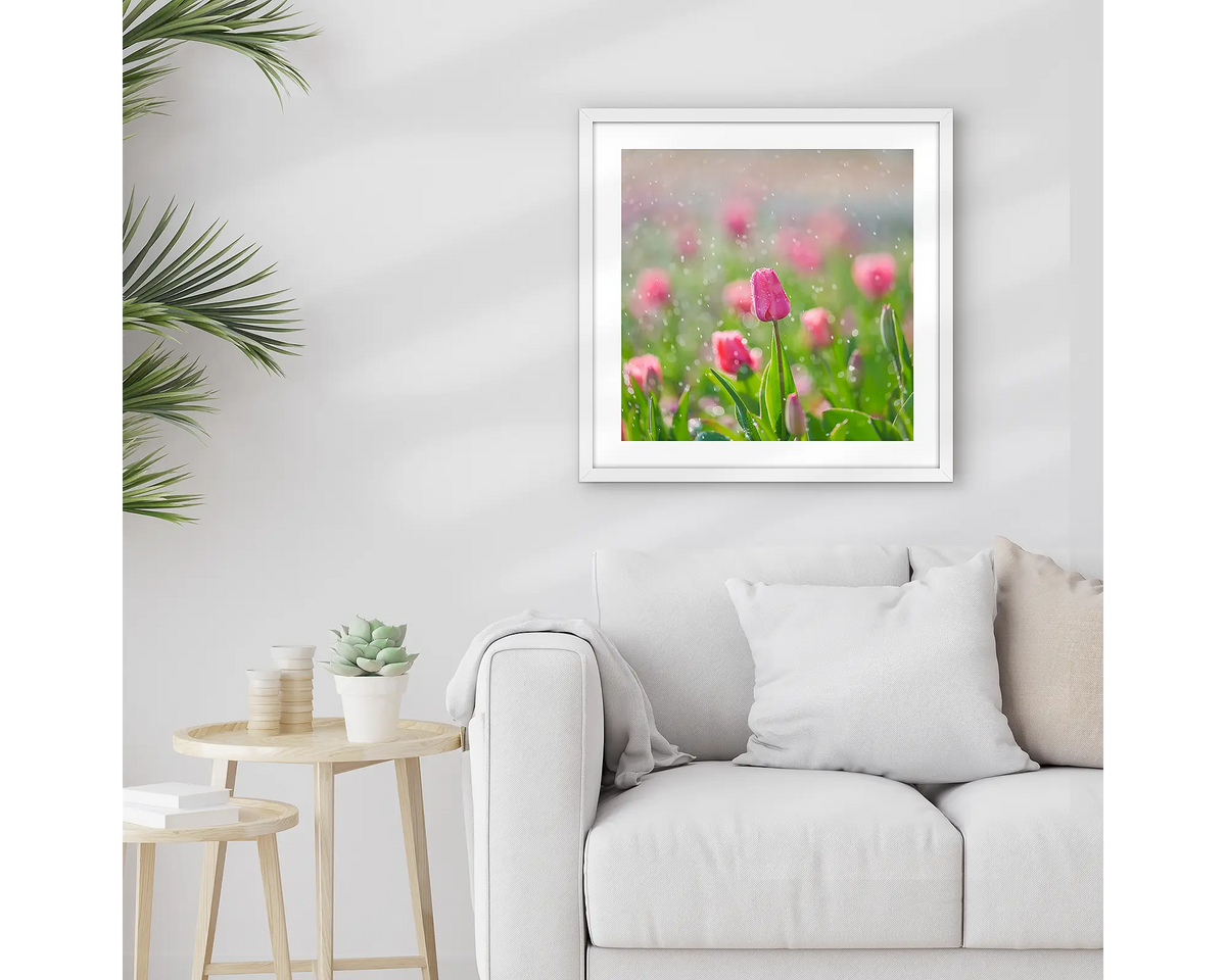 Bloom. Framed Floriade wall art print, with a white frame, hung above a couch.