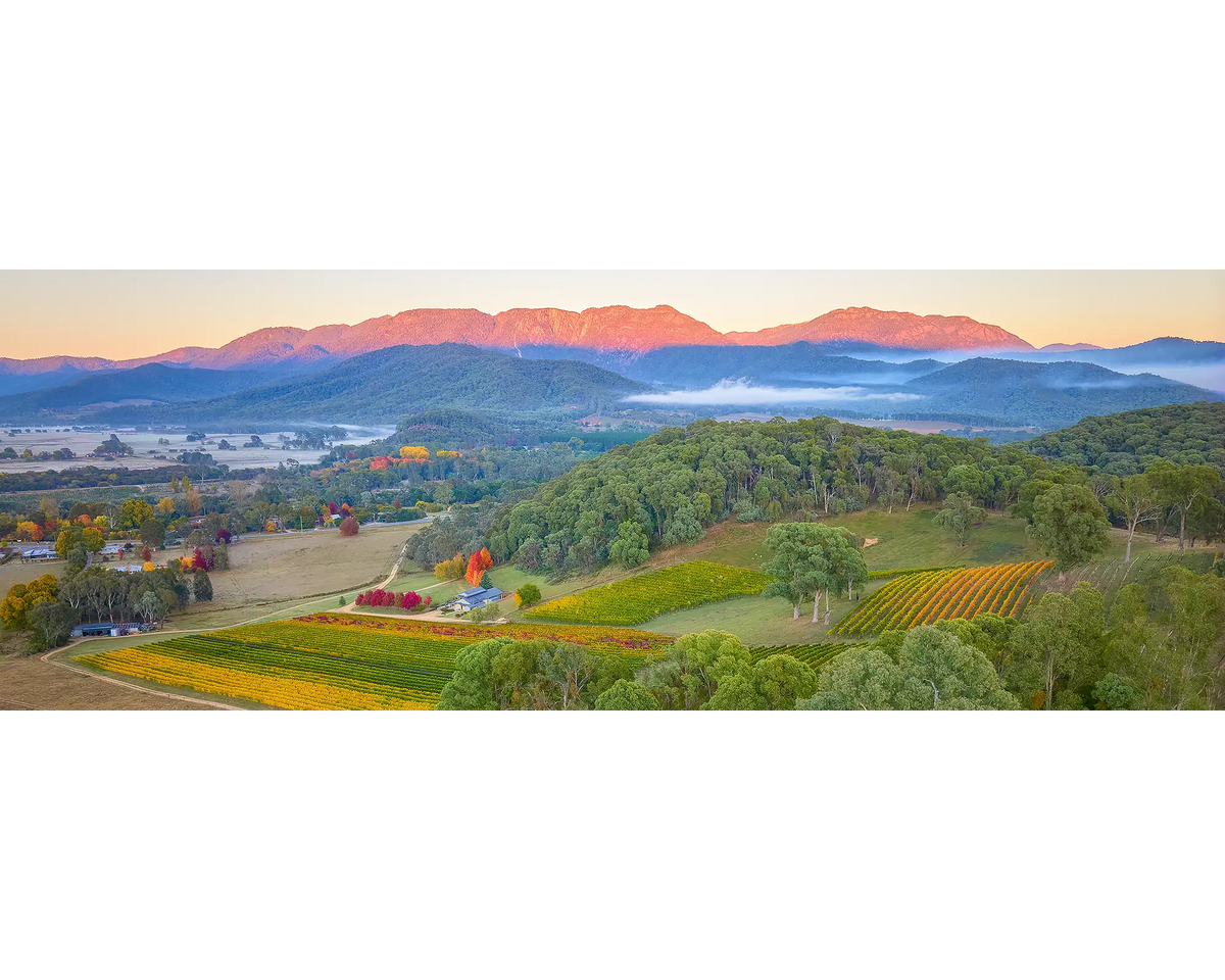 Buffalo Views. View from Ringer Reef winery to Mount Buffalo at Sunrise.