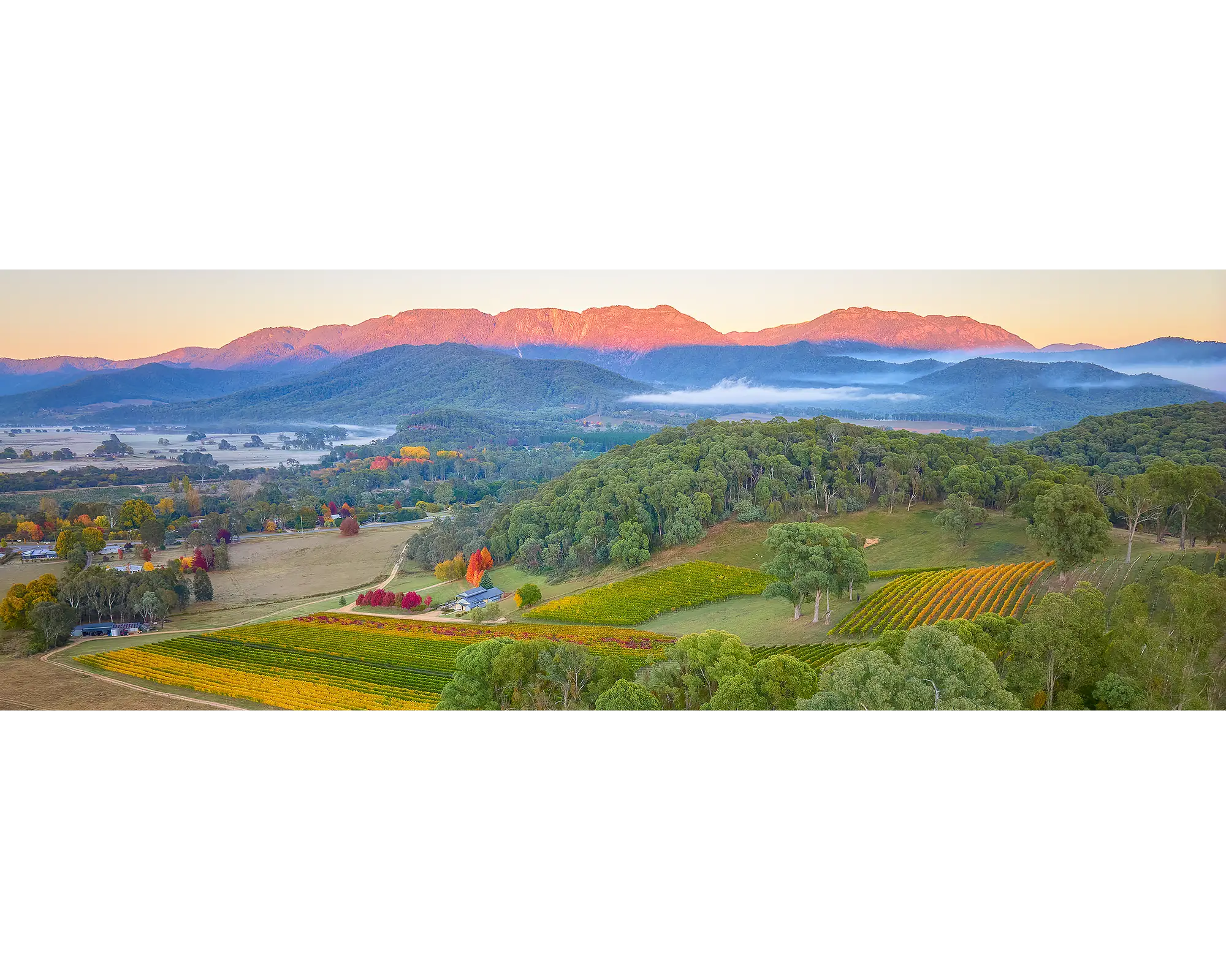 Buffalo Views. View from Ringer Reef winery to Mount Buffalo at Sunrise.