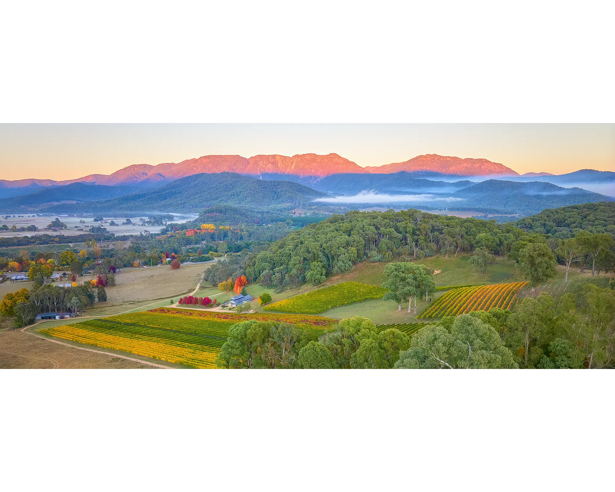 Ringer Reef winery views to Mount Buffalo at sunrise.