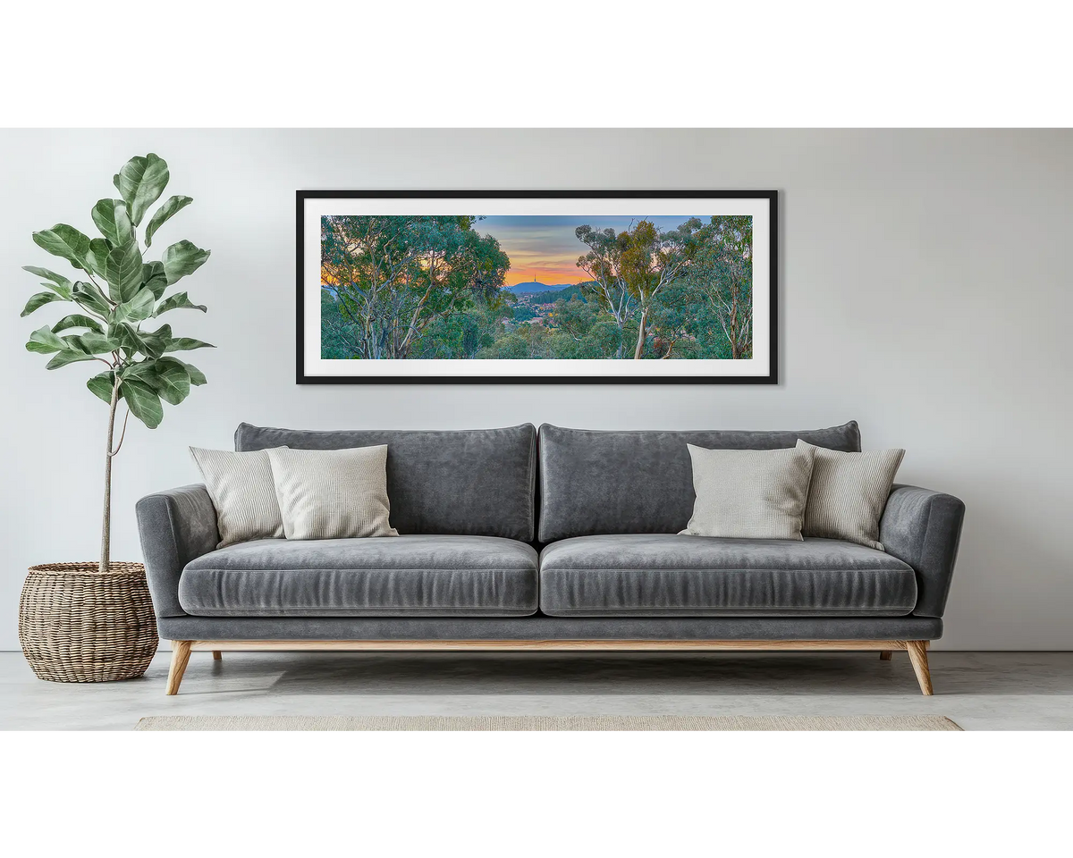 Bush Capital. Framed wall art print of Canberra gum trees, with a black frame, hung above a couch. 