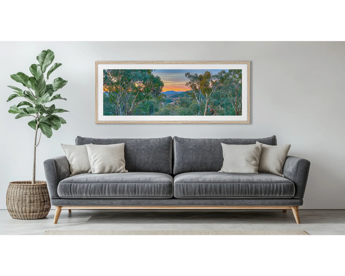 Bush Capital. Framed wall art print of Canberra gum trees, with a timber frame, hung above a couch. 