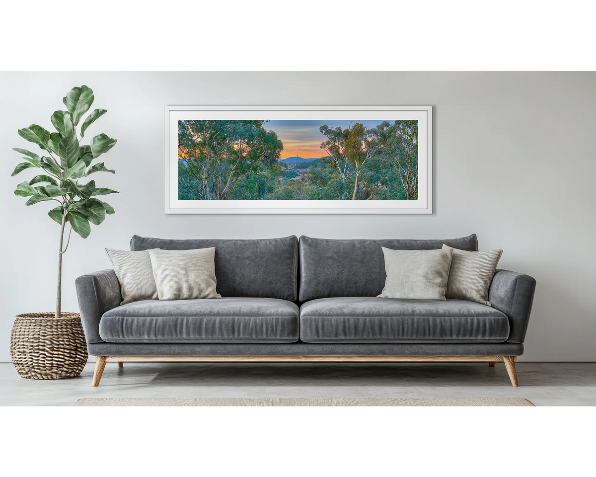 Bush Capital. Framed wall art print of Canberra gum trees, with a white frame, hung above a couch. 