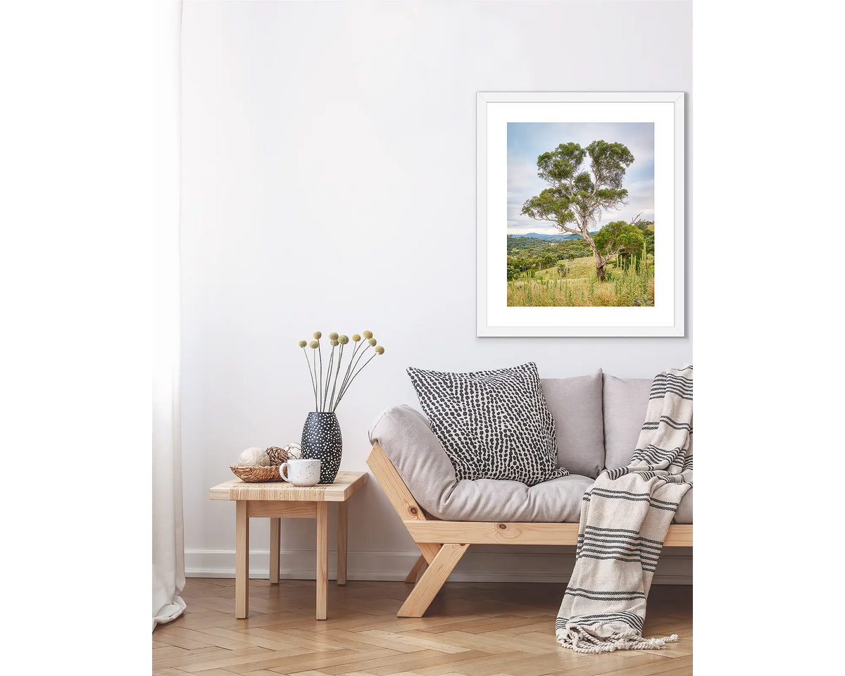 Canberra Hills. Gum tree wall art print, with a white frame, above a couch. 