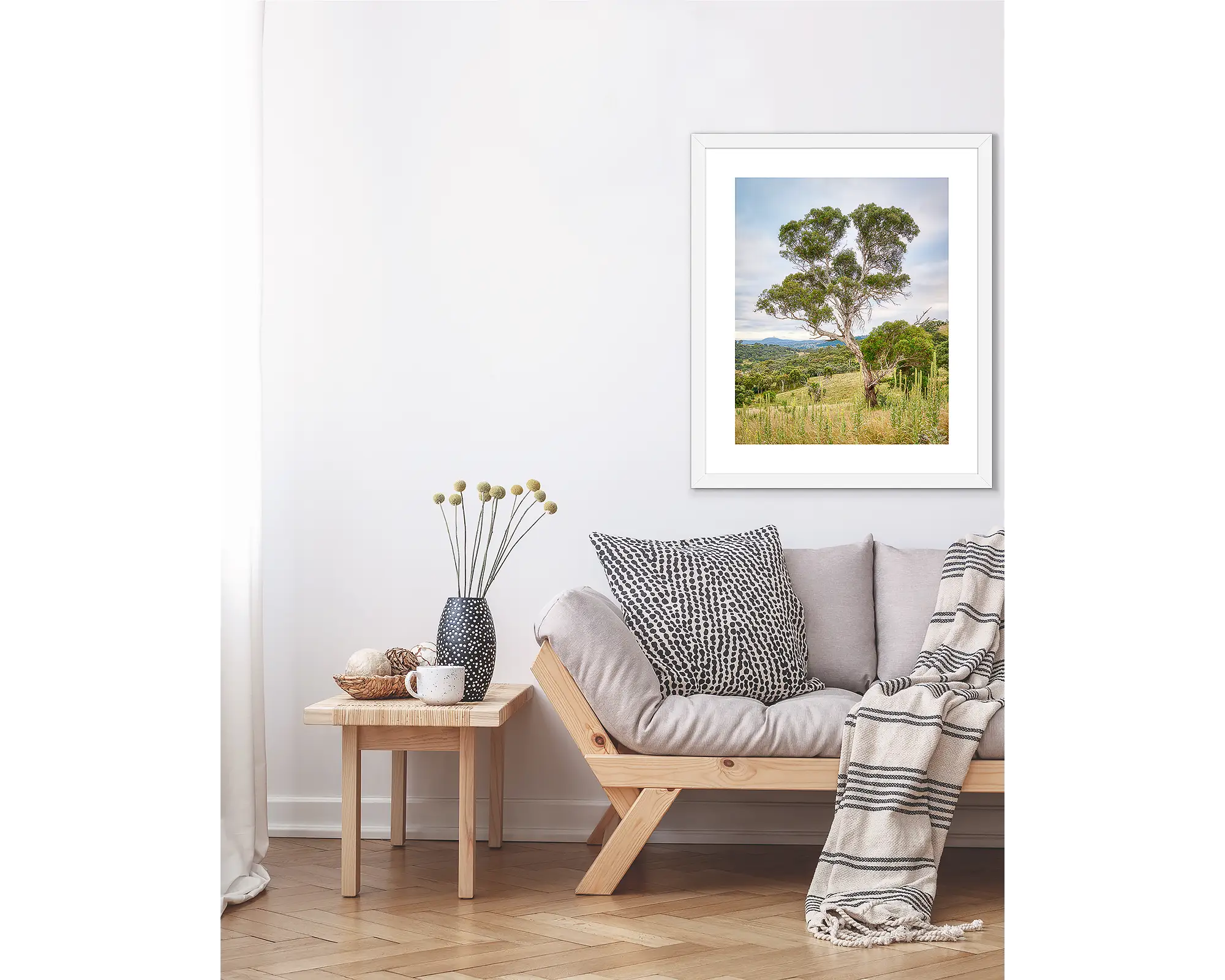 Canberra Hills. Gum trees at Wanniassa Hills Nature Reserve, Australian Capital Territory.