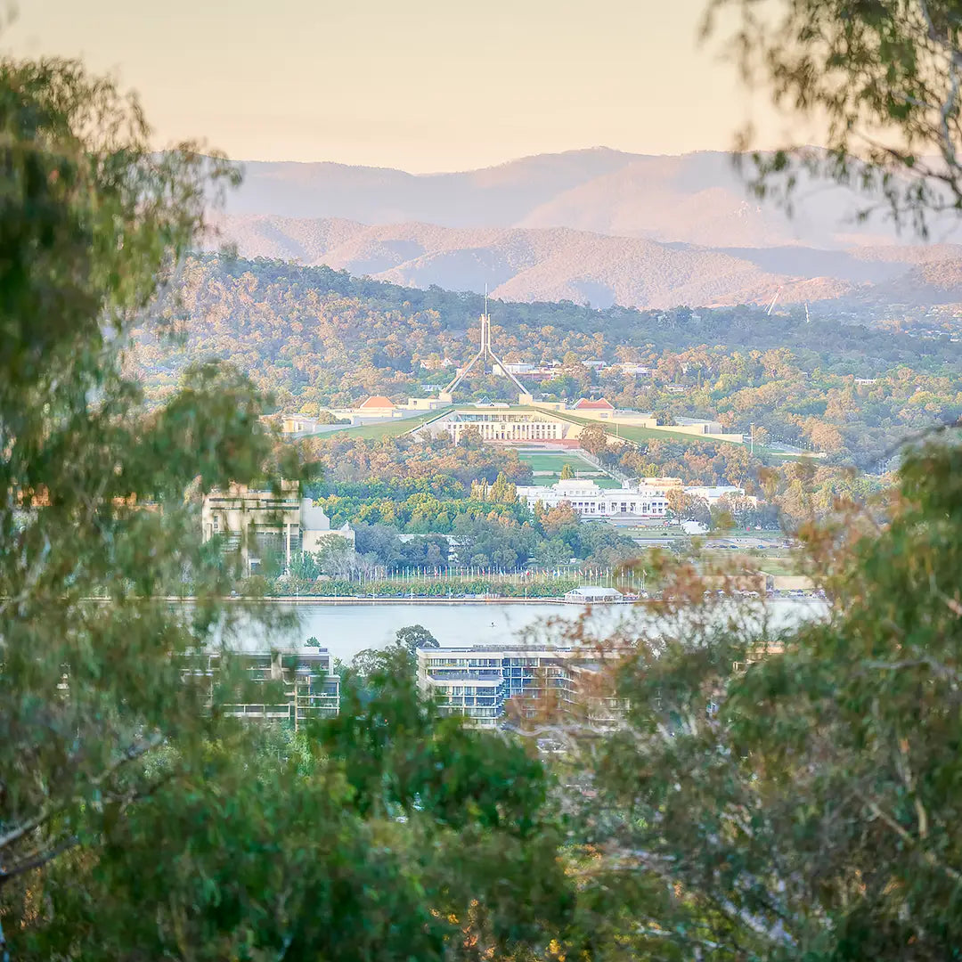 Capital View. Looking through gum trees to Parliament House, Canberra.