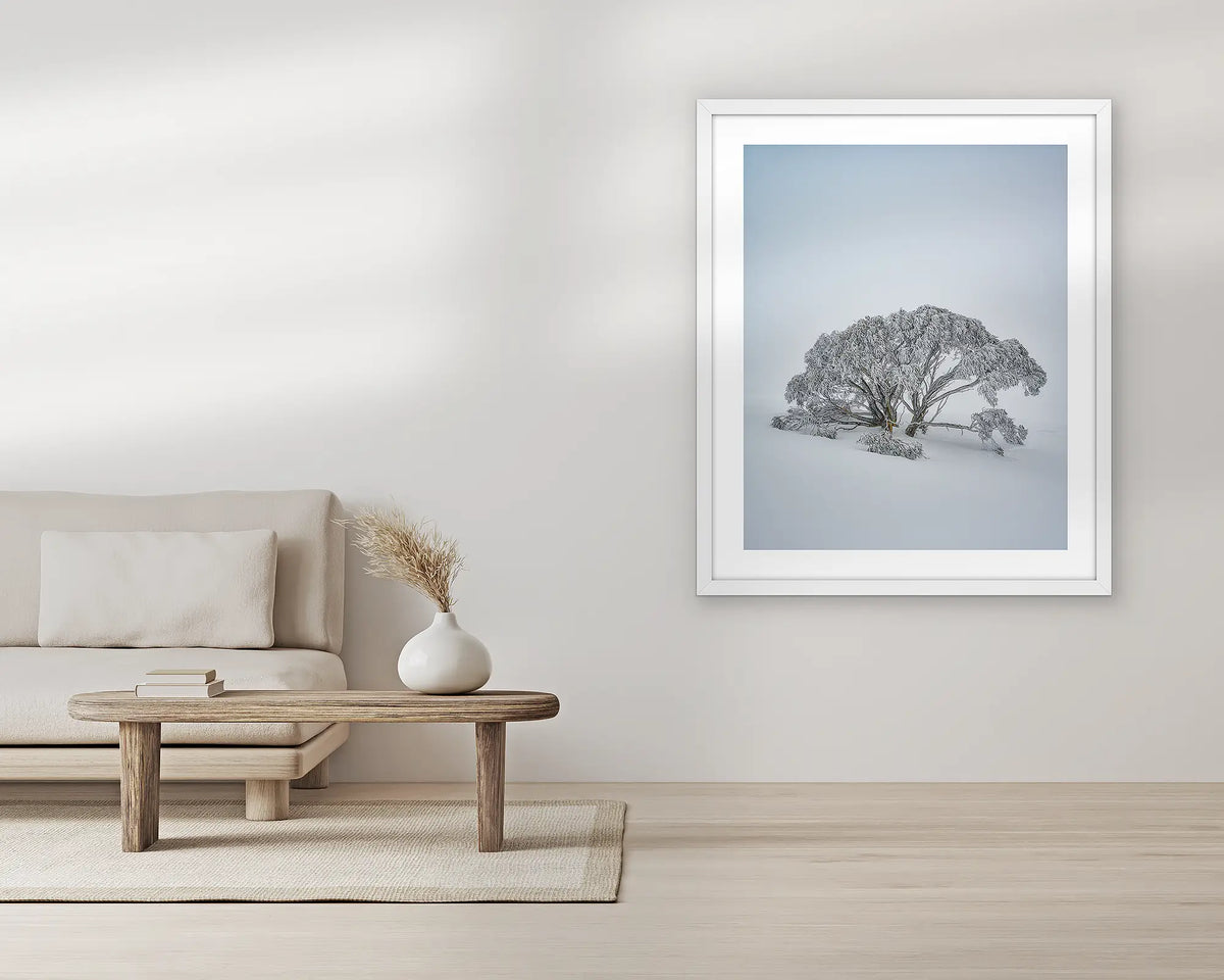 Chilled. Extra large snow gum wall art print, with a white frame, in a living room. 