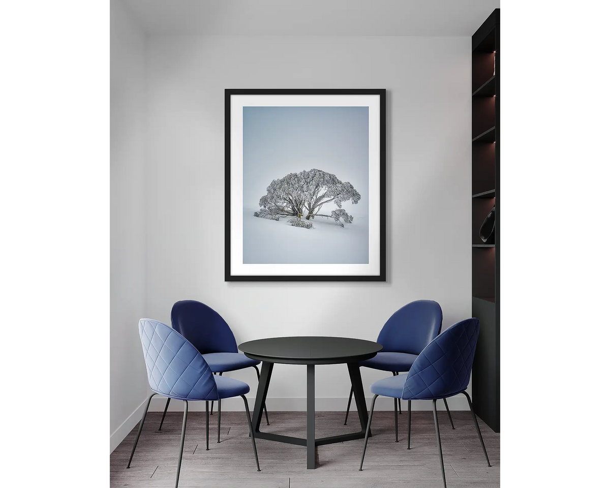 Chilled. Snow gum, framed wall art print, with a black frame, in an office meeting room. 