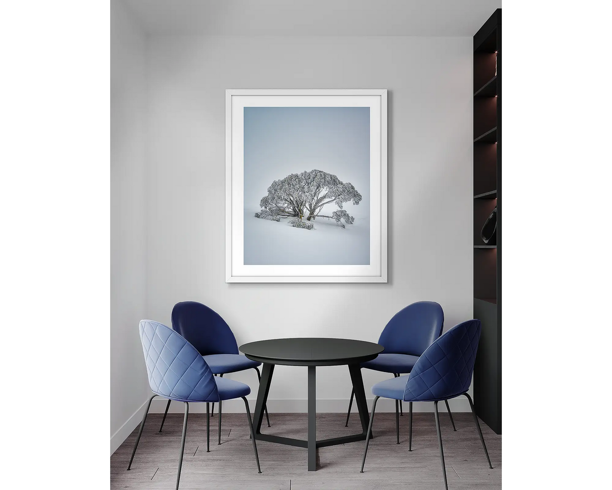 Chilled. Snow gum, framed wall art print, with a white frame, in an office meeting room. 