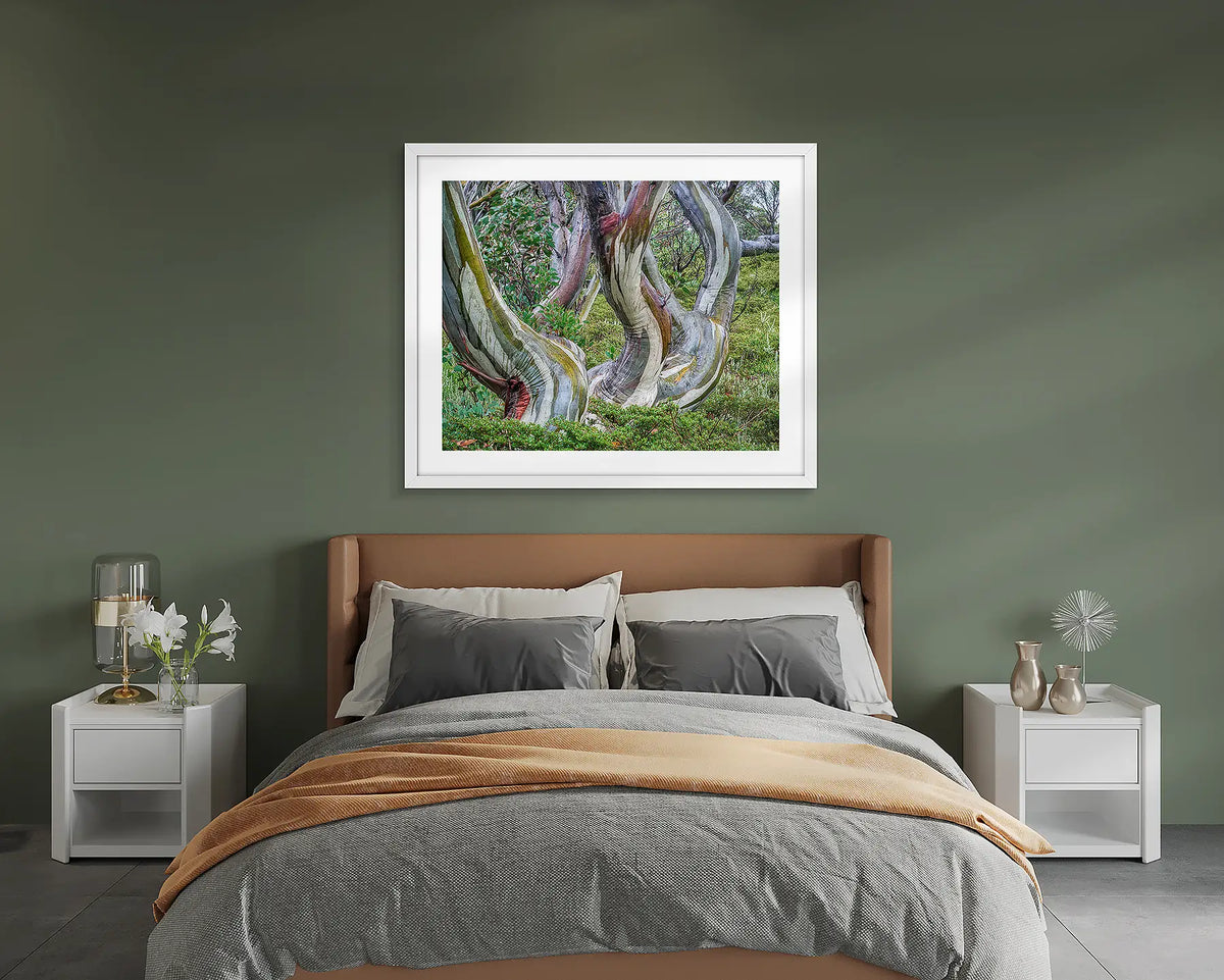 Curves. Snow gum wall art above a bed. 