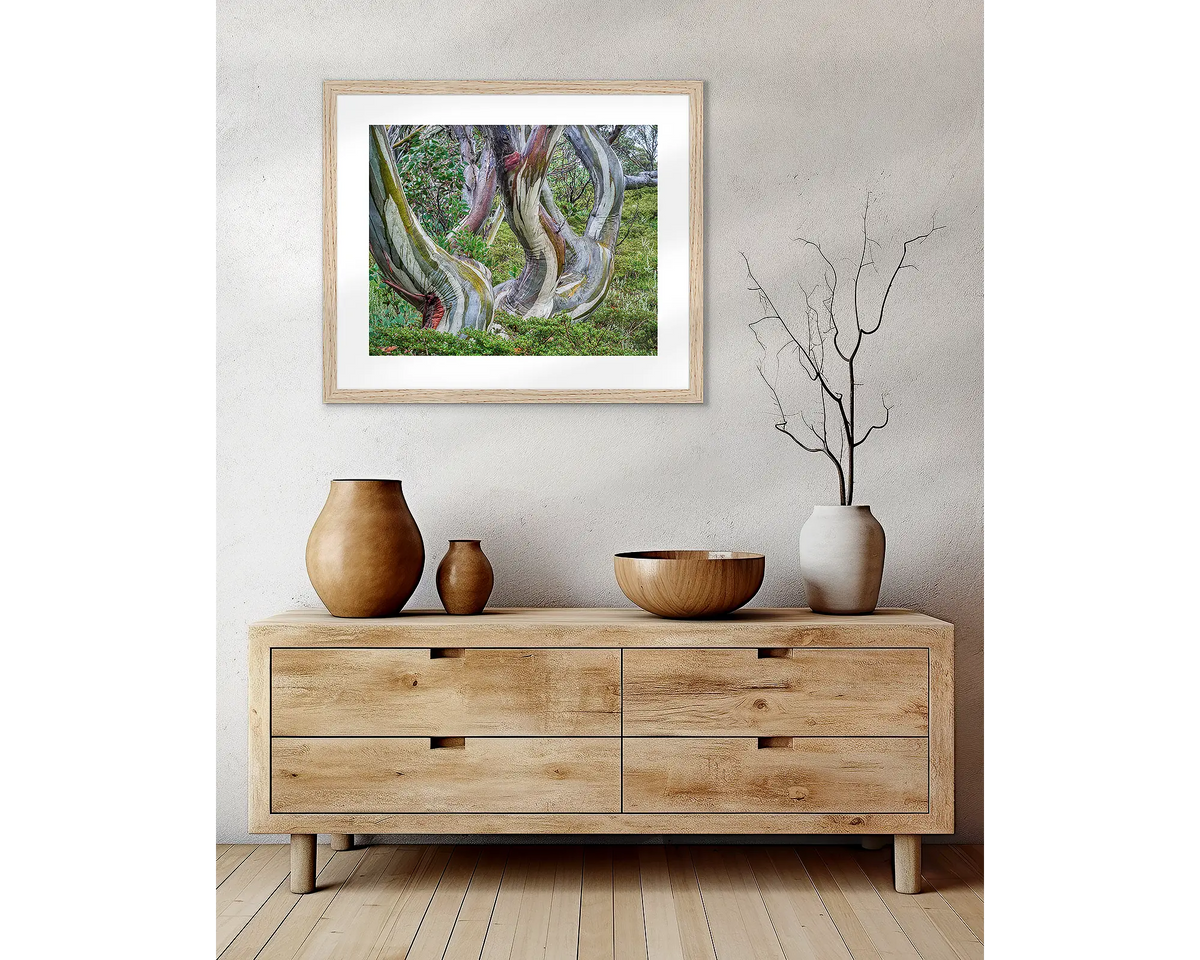 Curves. Snow Gum wall art in a Tasmanian Oak frame, hanging above a side table.