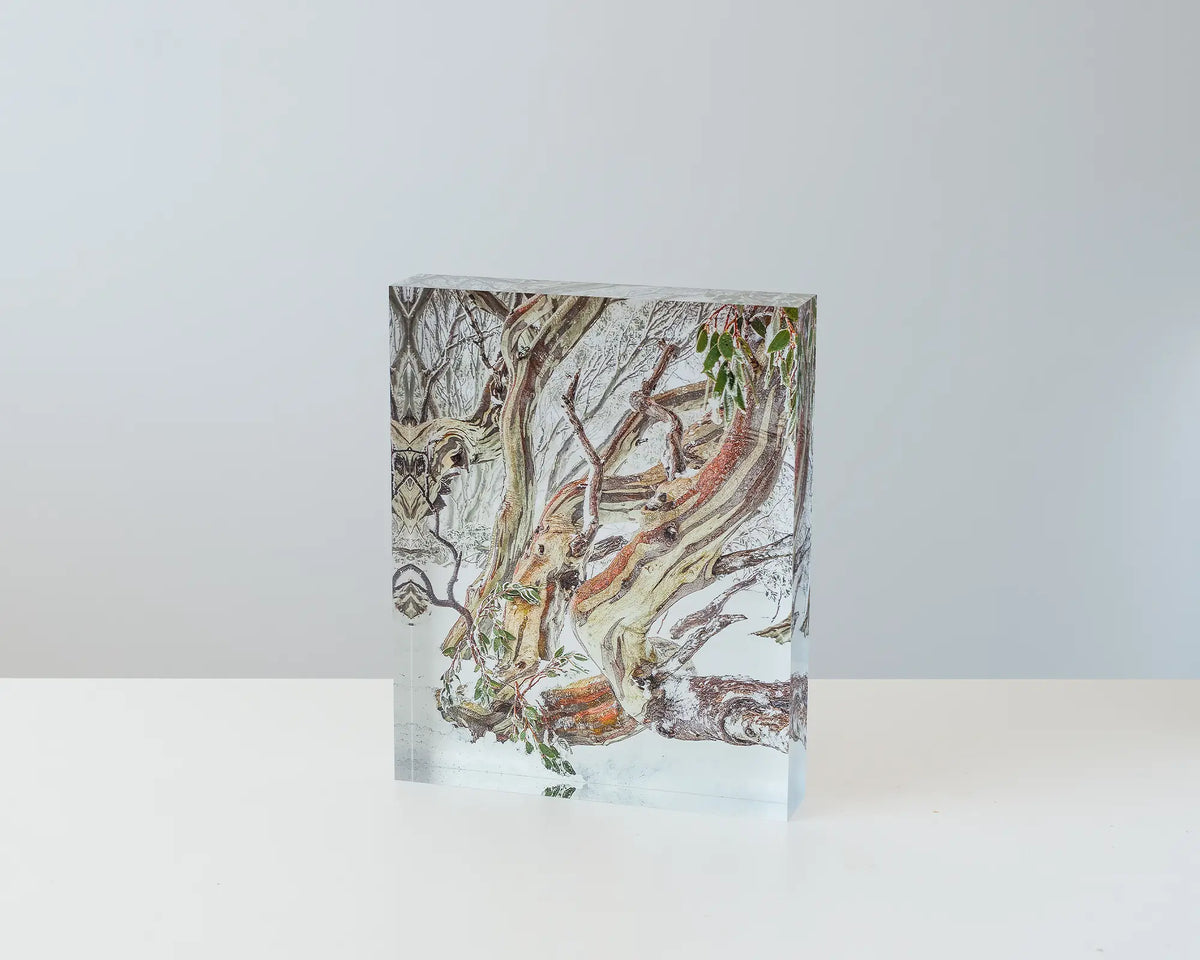 Defiance. Acrylic block of a snow gum in Kosciuszko National Park. Australian artwork on table.