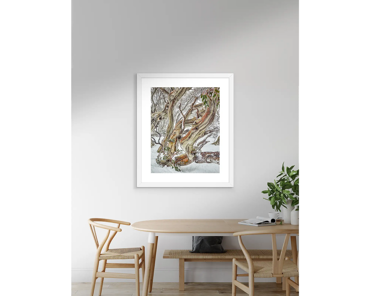 Defiance snow gum wall print with white frame hanging on wall above table.