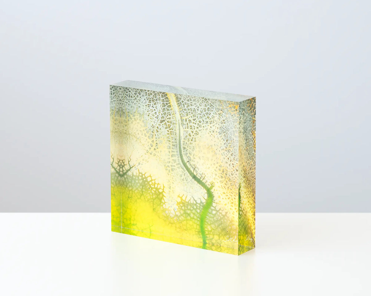 Dehydration acrylic block sitting on a desk. 