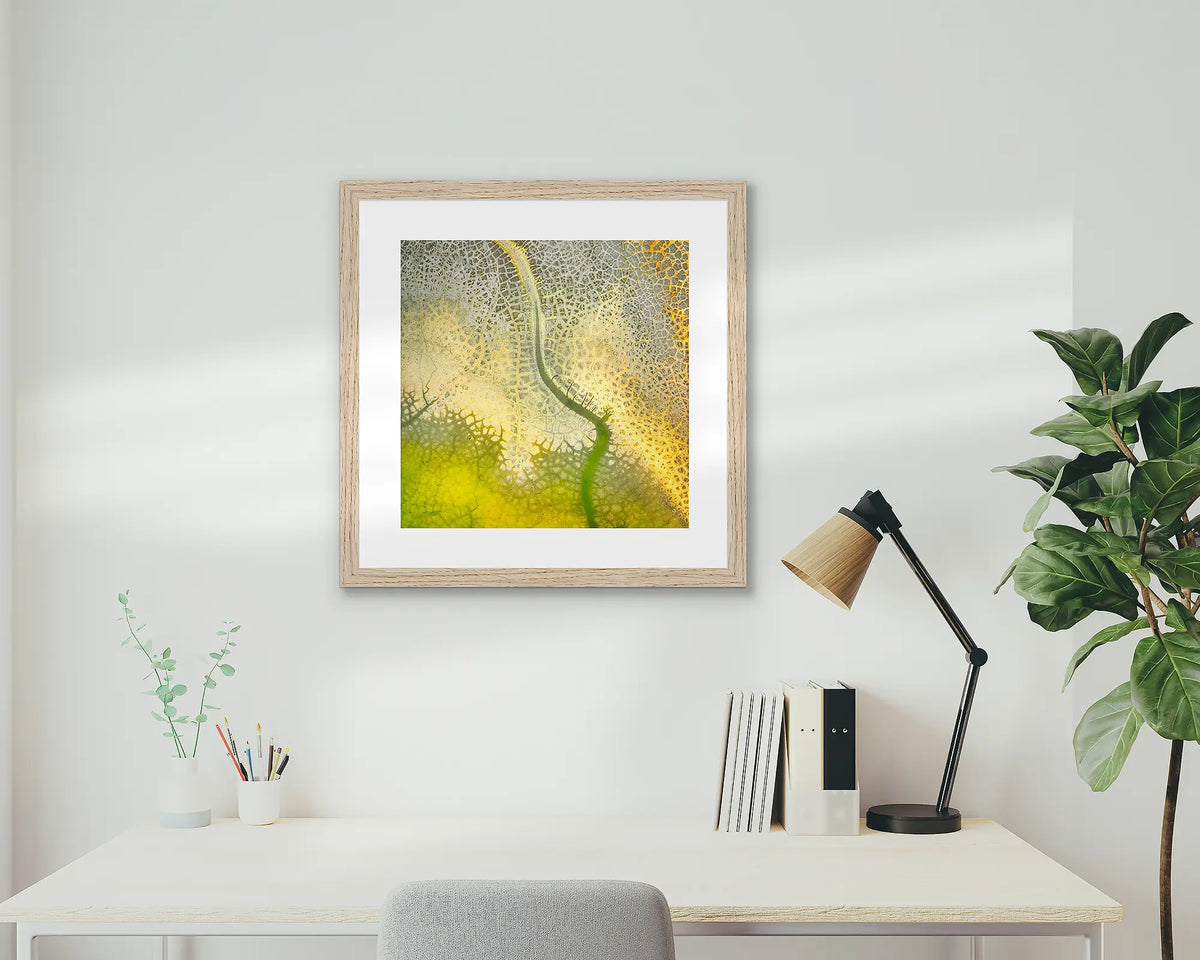 Dehydration. Aerial abstract photographic wall art print, in an oak frame, on a study wall. 