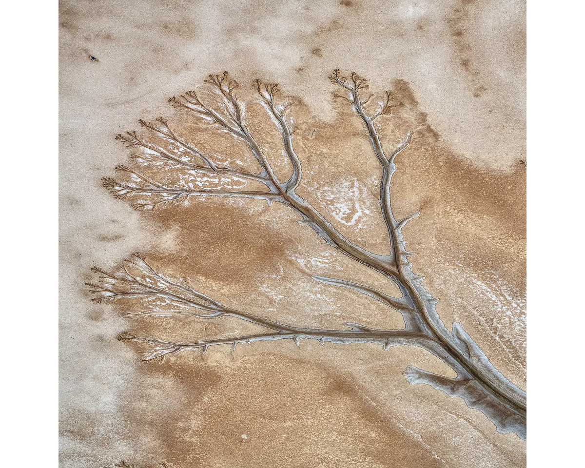 Dispersion. Aerial view of the King River, The Kimberley, Western Australia.