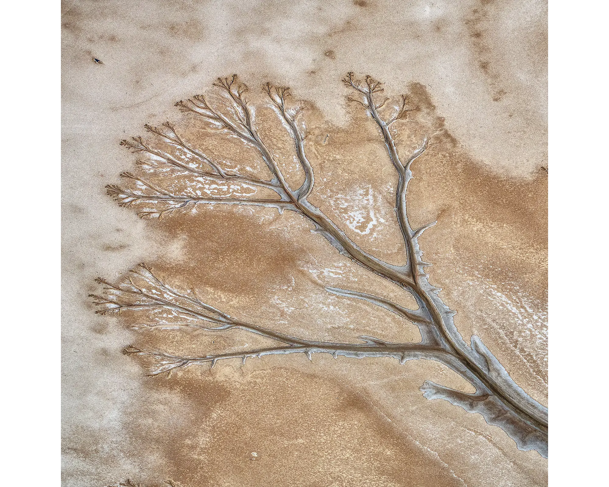 Dispersion. Aerial view of the King River, The Kimberley, Western Australia.