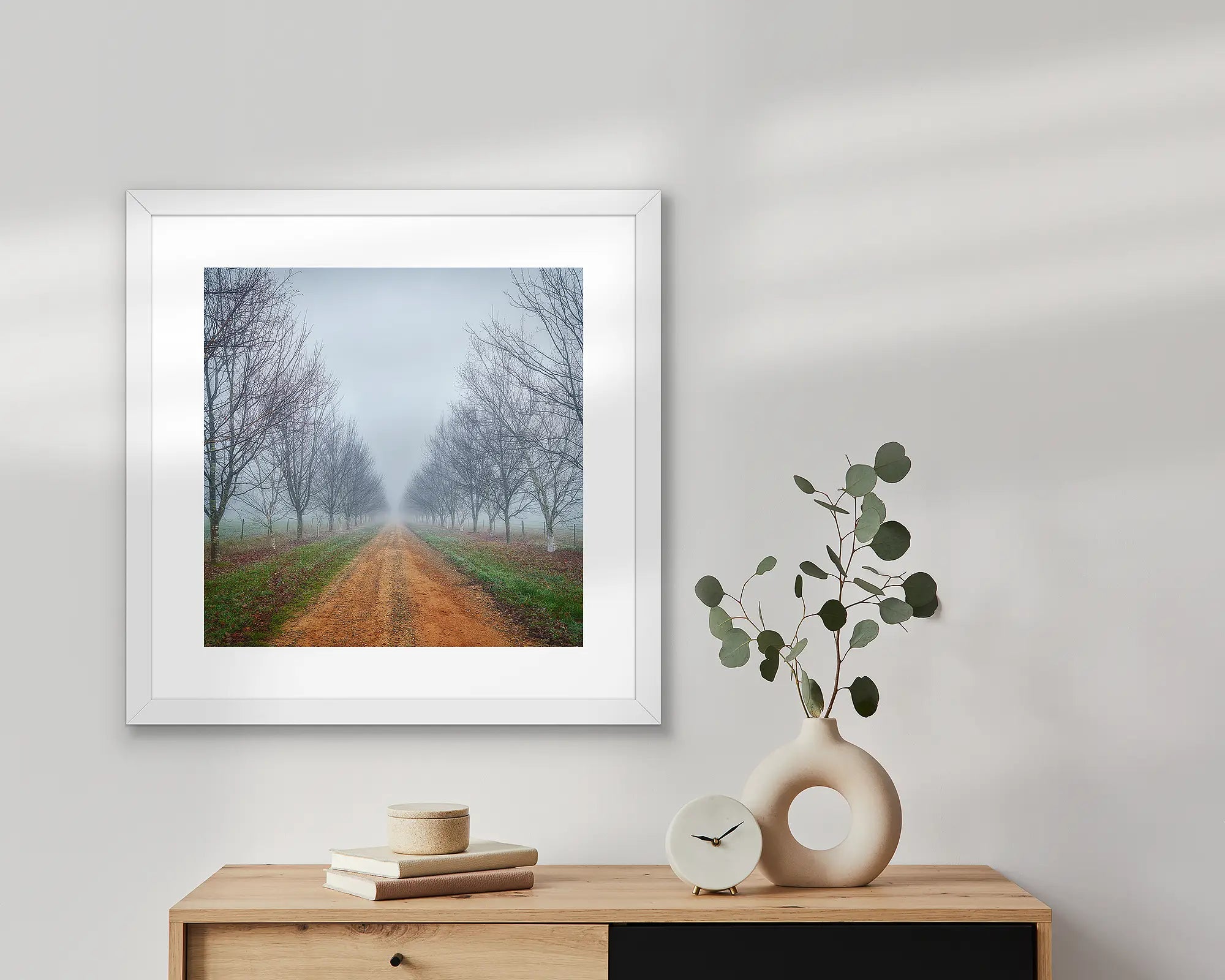 Morning fog lingering on country road lined by trees, Bright and Surrounds, Victoria, Australia.