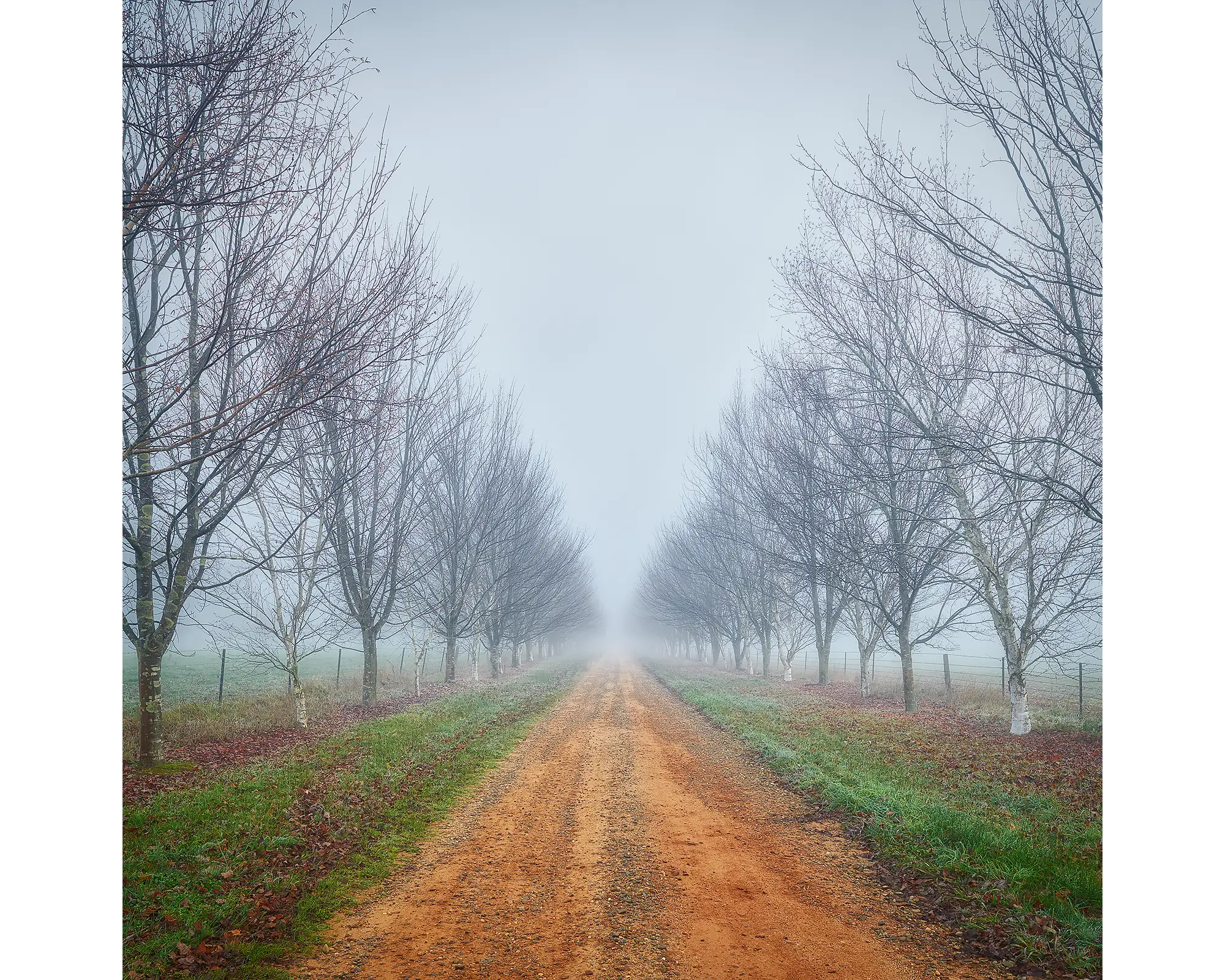 Down the Road acrylic block, country driveway in fog. 