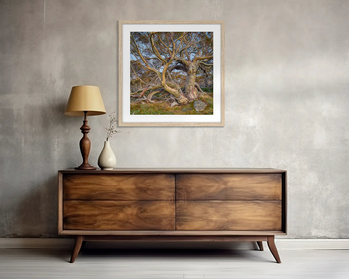 Elder. Square, snow gum wall art print, with a Tassie oak frame, above a side table. 