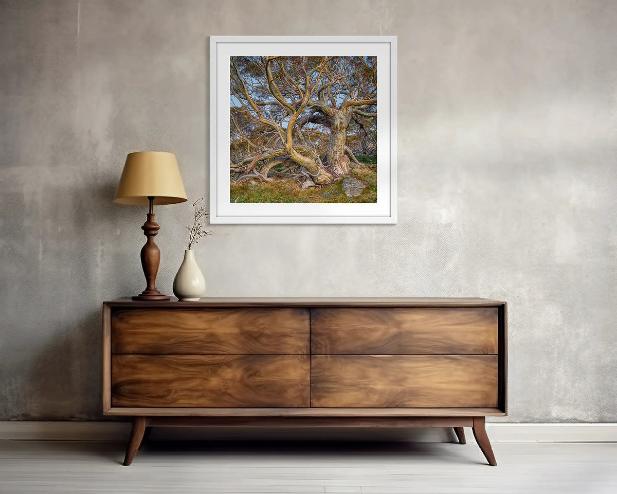 Elder. Square, snow gum wall art print, with a white frame, above a side table. 