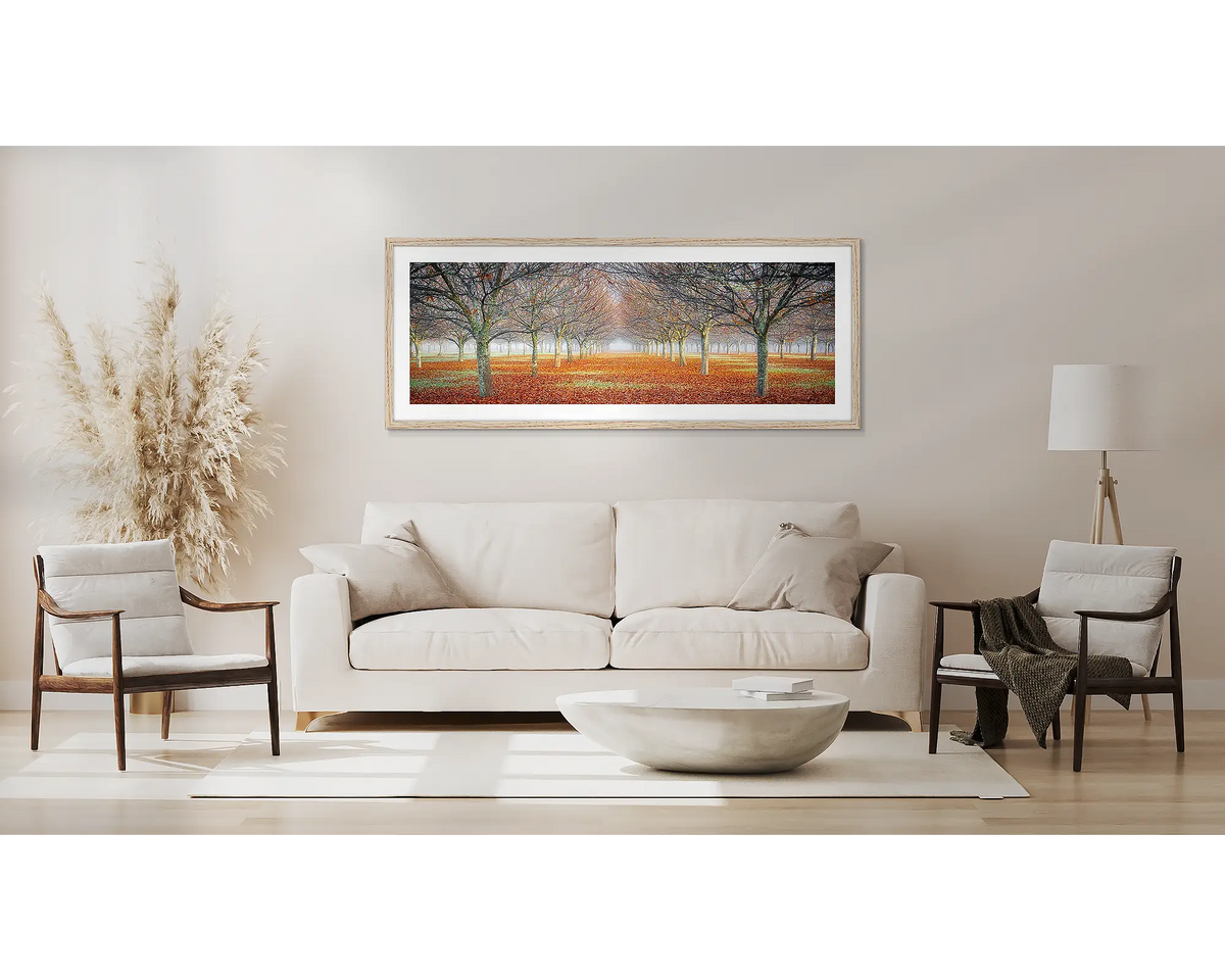 Emergent. Tree wall art, in a Tasmanian Oak frame, in a lounge room. 