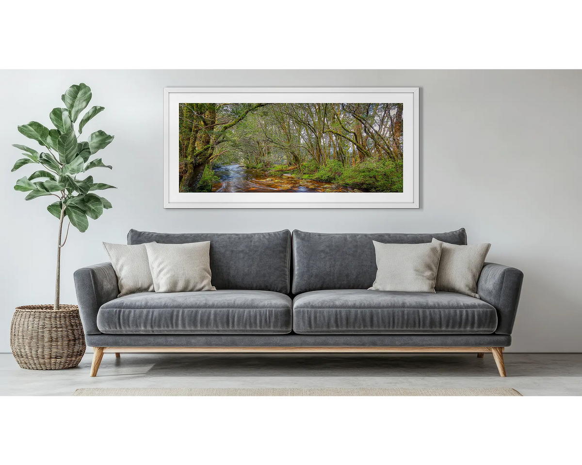 Enchanted. Tasmanian wall art hanging above a couch. 