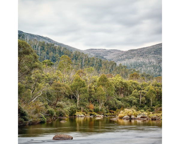 ESCAPE TO NATURE. Thredbo River Kosciuszko National Park. Wall Art.