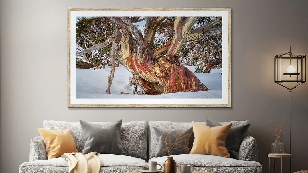 Extra large wall art print with Tassie Oak frame on lounge room wall.