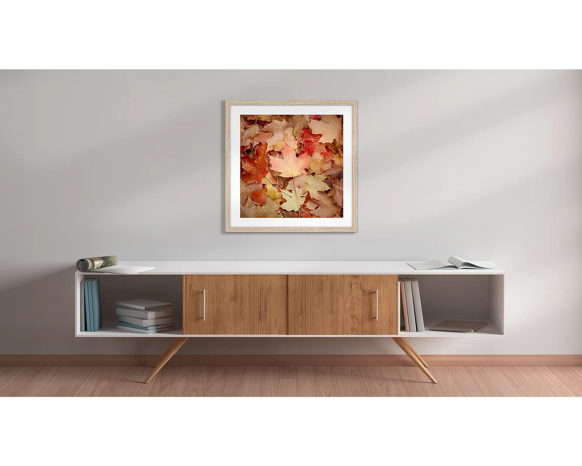 Fallen. Autumn leaf framed wall art print, with a timber frame, hung above a side table. 