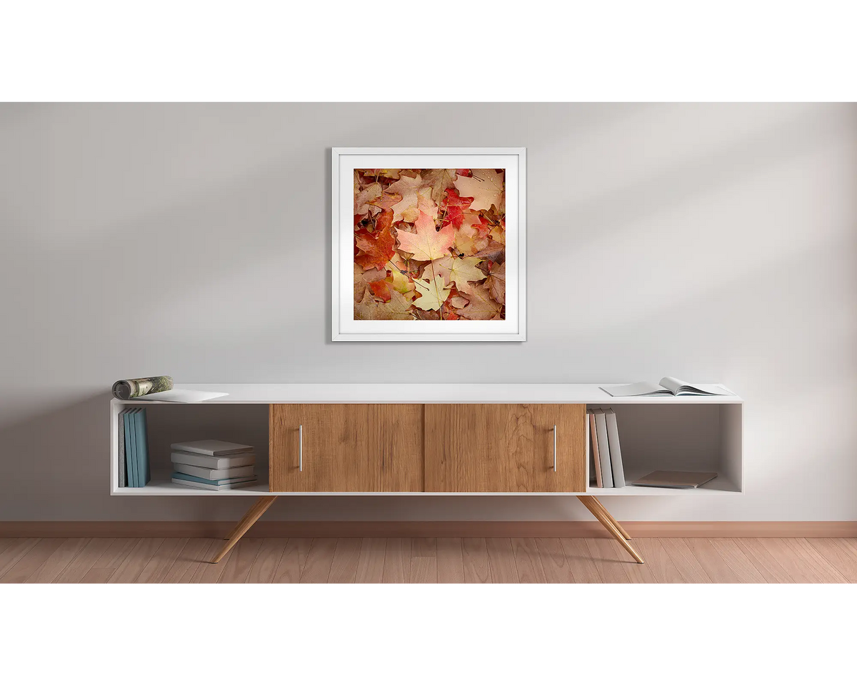 Fallen. Autumn leaf framed wall art print, with a white frame, hung above a side table. 