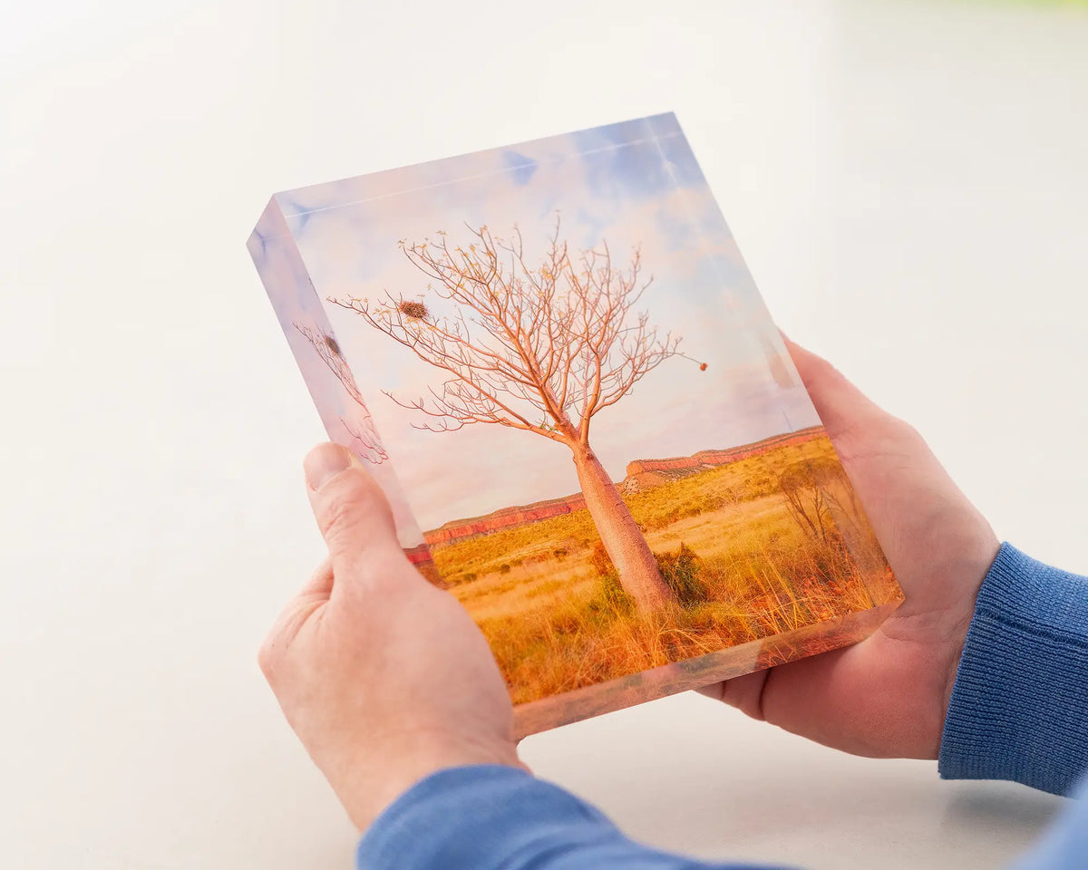 Figure. Acrylic block of a Boab tree and Cockburn Ranges at sunset. Australian artwork being held.