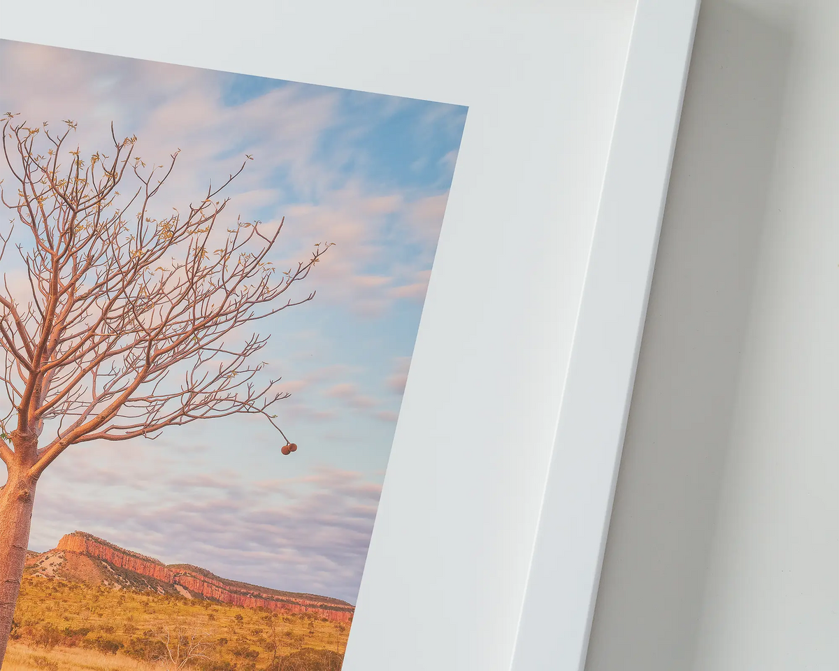 Figure. Boab tree at sunset. Australian Wall art with white frame on table.