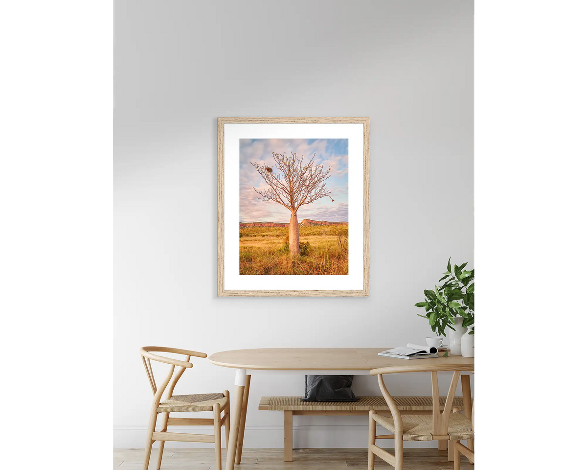 Figure, boab tree wall art print with Tasmanian Oak frame, hanging on wall above a table.