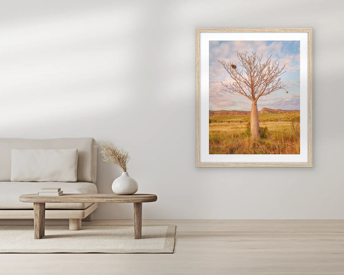 Figure. Boab wall art print, with a Tassie oak frame, in a living room. 