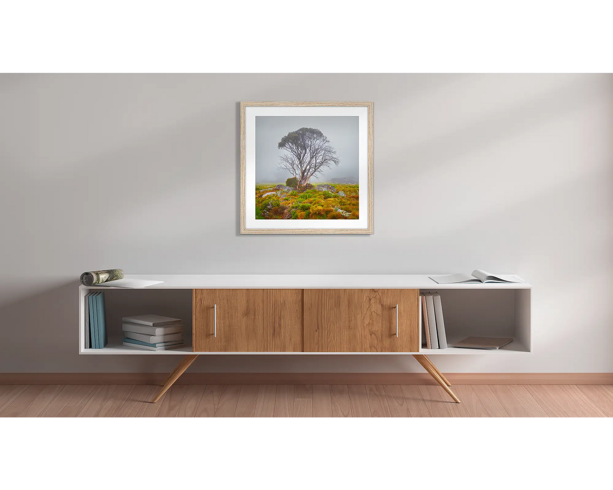 Fog On The High Plains. Snow gum in fog wall art print, with a timber frame, hung above a side table. 