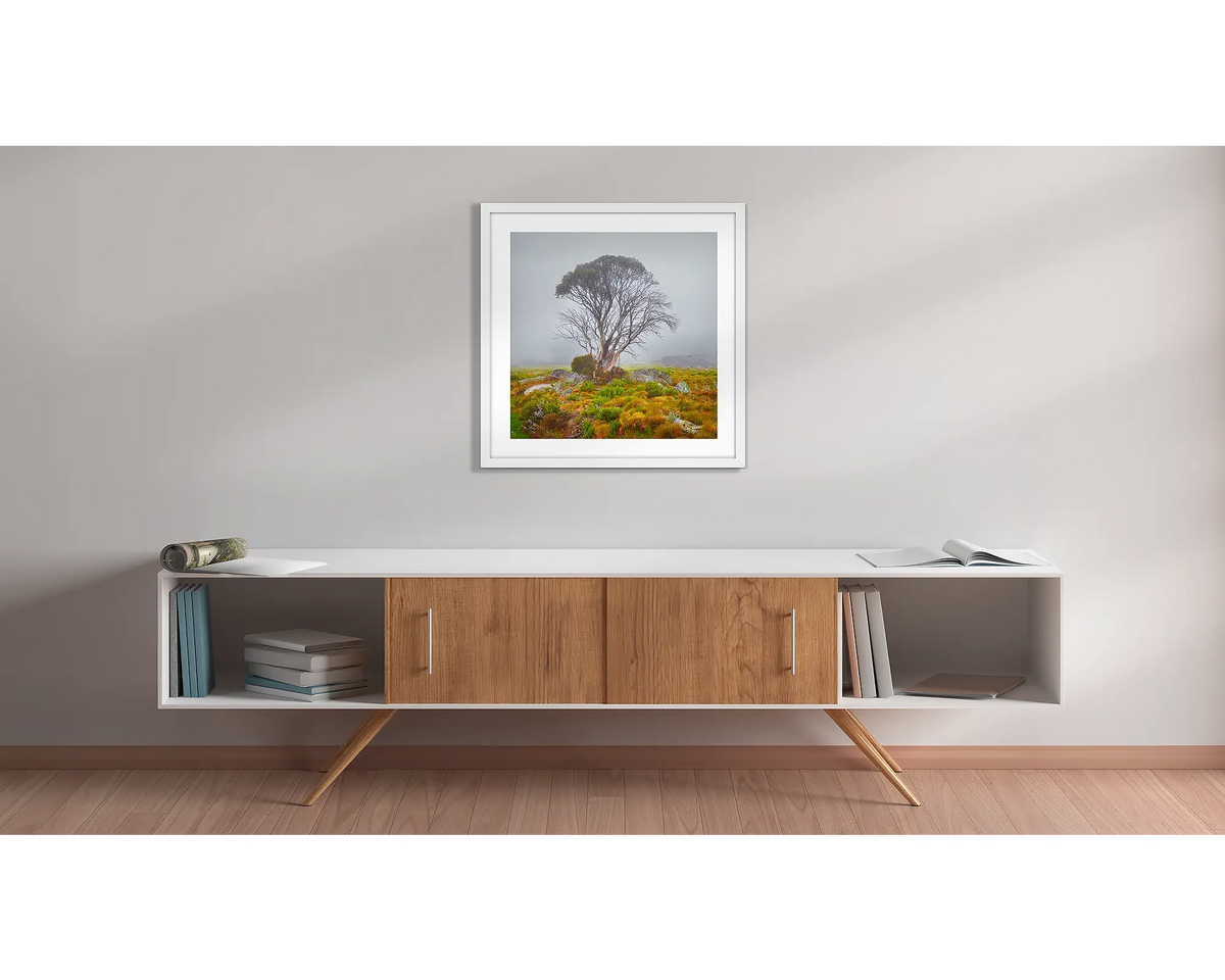 Fog On The High Plains. Snow gum in fog wall art print, with a white frame, hung above a side table. 