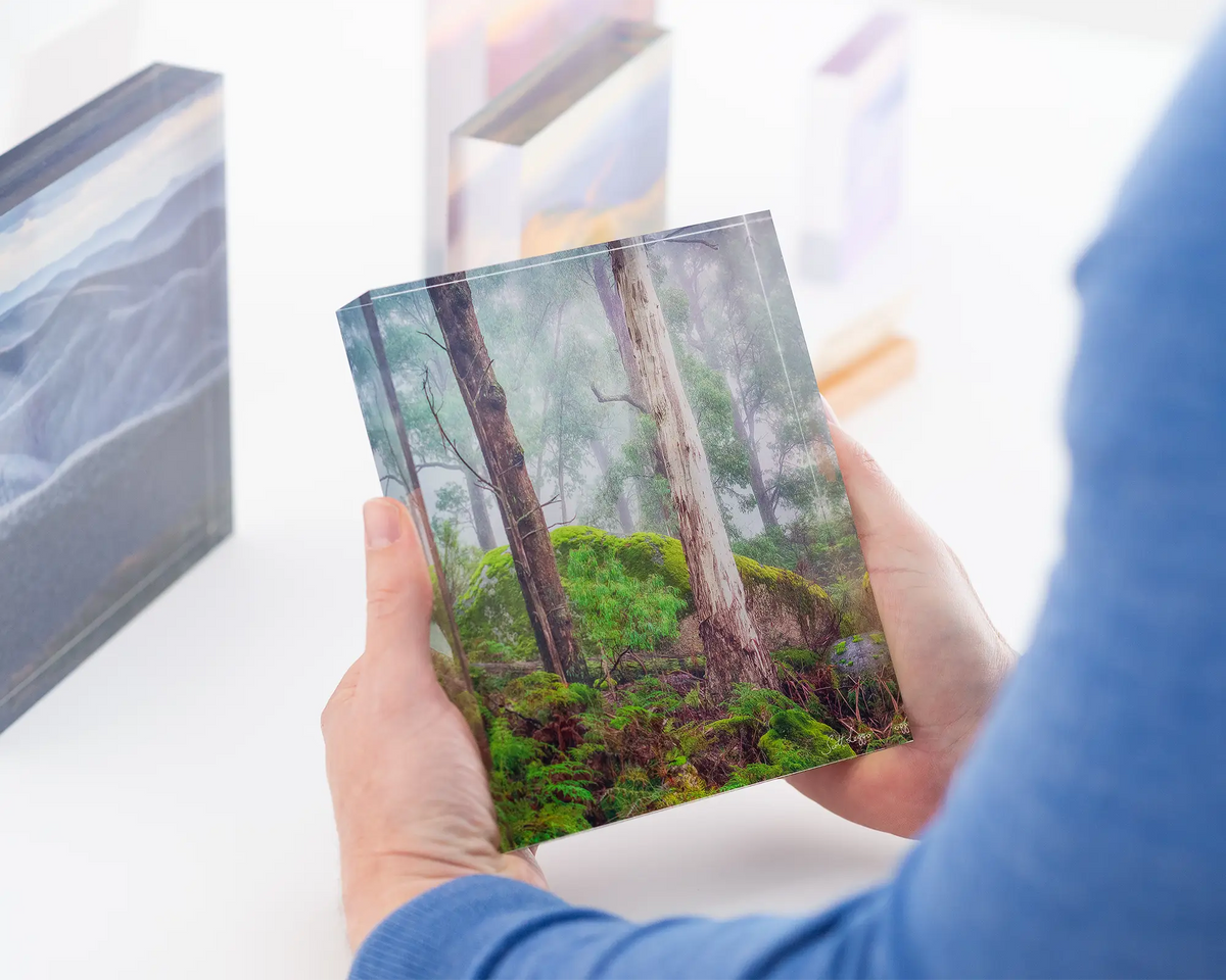 Forest Friends. Acrylic block of trees in fog at Mount Buffalo National Park. Australian artwork being held.