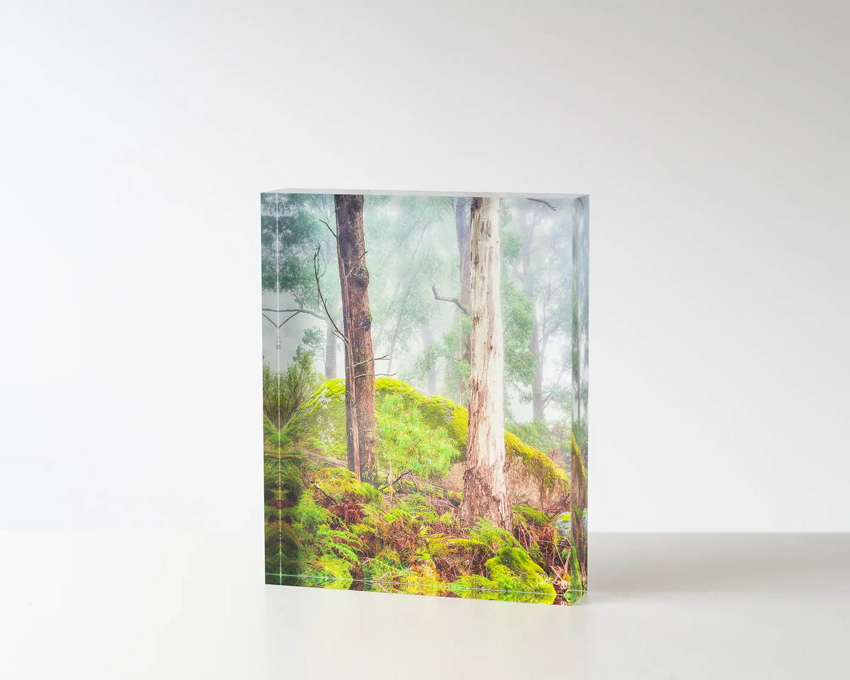 Forest Friends. Acrylic block of trees in fog at Mount Buffalo National Park. Australian artwork on table.